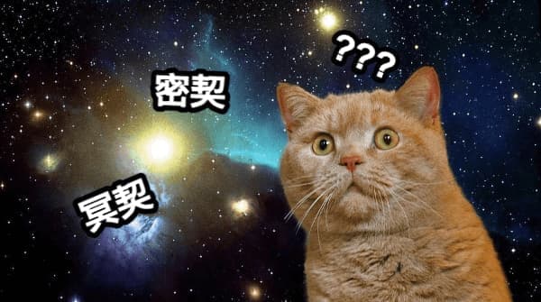 mysticism-cat